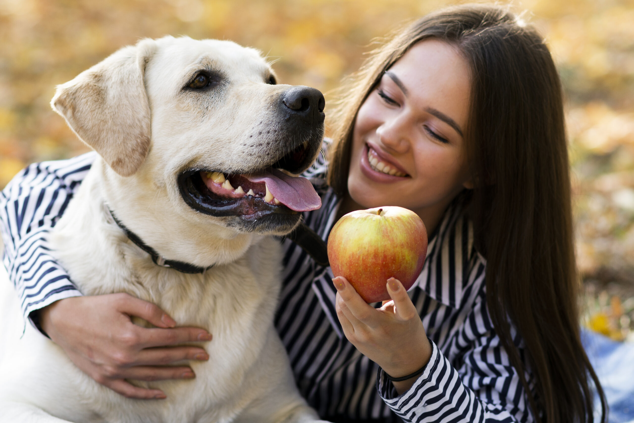 Como preparar e servir frutas e vegetais para cães